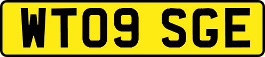 WT09SGE
