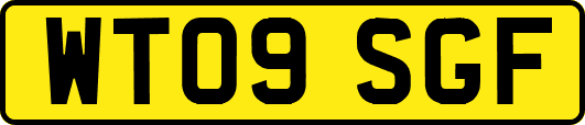 WT09SGF