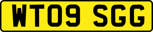 WT09SGG