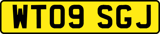 WT09SGJ
