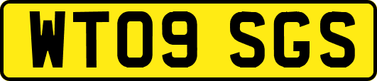 WT09SGS