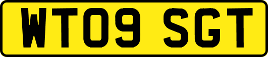 WT09SGT