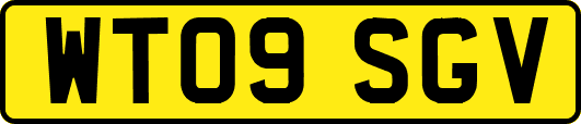 WT09SGV