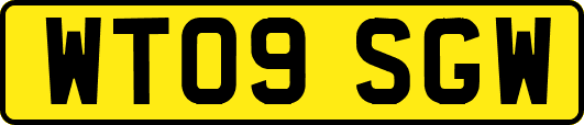 WT09SGW