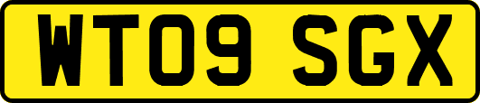 WT09SGX