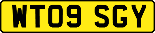 WT09SGY