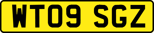 WT09SGZ