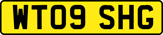 WT09SHG