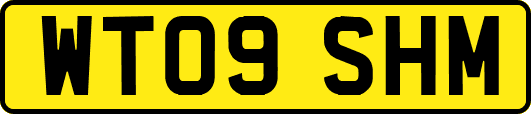 WT09SHM
