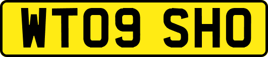 WT09SHO