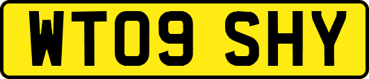 WT09SHY