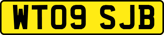 WT09SJB