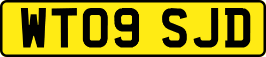 WT09SJD