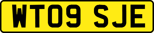 WT09SJE