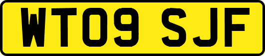 WT09SJF