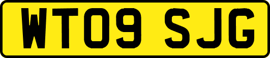WT09SJG