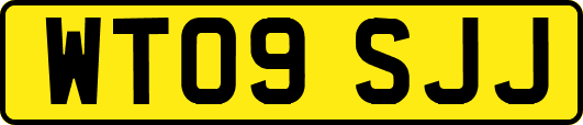 WT09SJJ