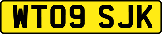 WT09SJK