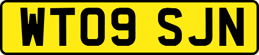 WT09SJN