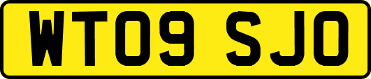 WT09SJO