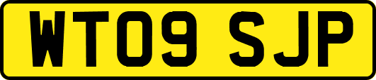 WT09SJP