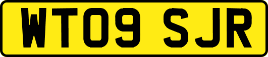 WT09SJR
