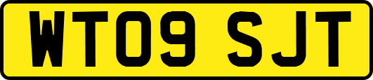 WT09SJT