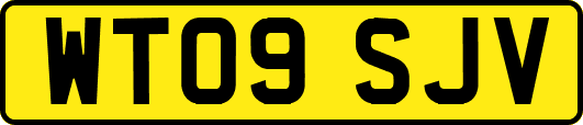 WT09SJV