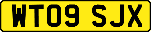 WT09SJX