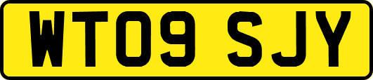 WT09SJY
