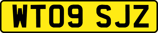 WT09SJZ