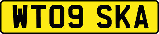 WT09SKA