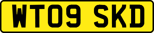WT09SKD