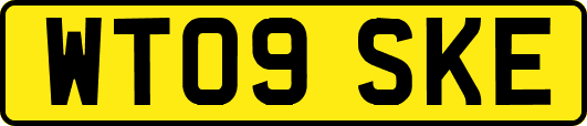 WT09SKE