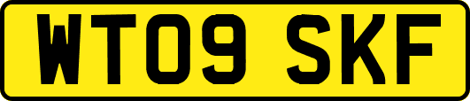 WT09SKF