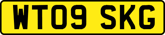 WT09SKG
