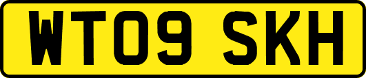 WT09SKH