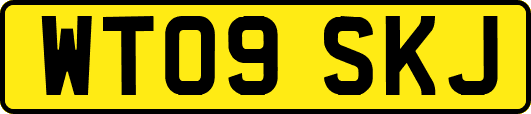 WT09SKJ