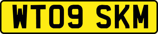 WT09SKM
