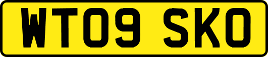 WT09SKO