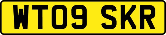 WT09SKR