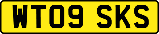 WT09SKS