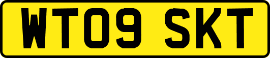 WT09SKT