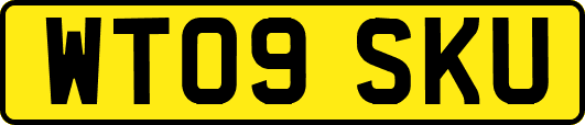 WT09SKU