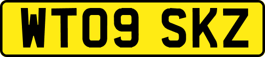 WT09SKZ