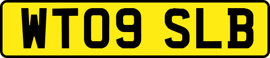 WT09SLB