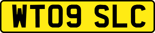 WT09SLC