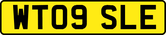 WT09SLE
