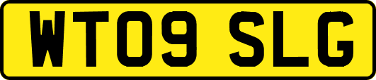 WT09SLG
