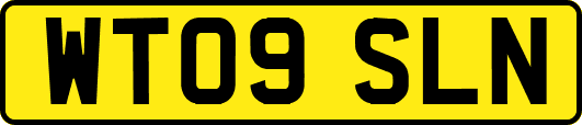 WT09SLN